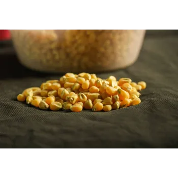 Common  Chana Dal